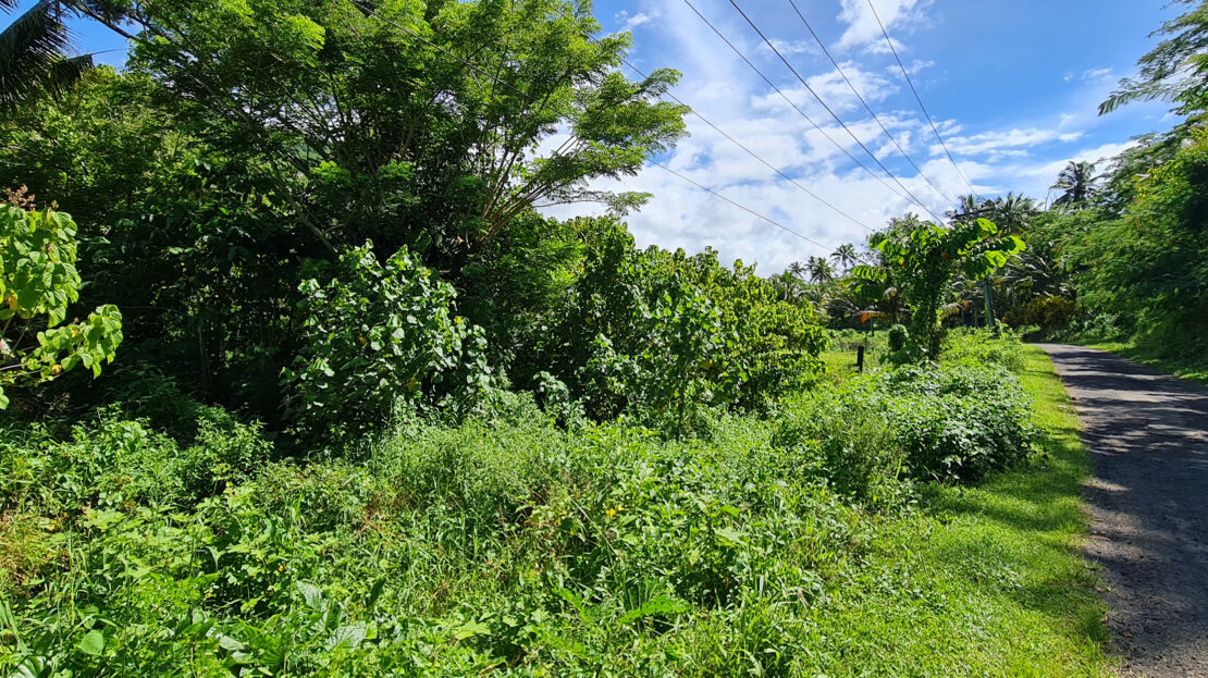Quarter Acre Lot for Sale in Letogo Samoa Realty