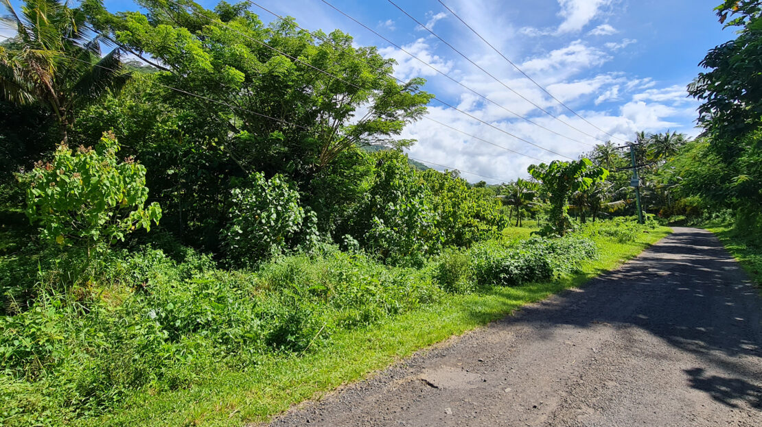 Quarter Acre Lot for Sale in Letogo Samoa Realty