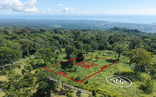 One Acre for Sale in Malololelei