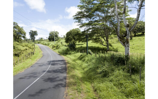 Twenty-five Acres for Sale in Tiavi