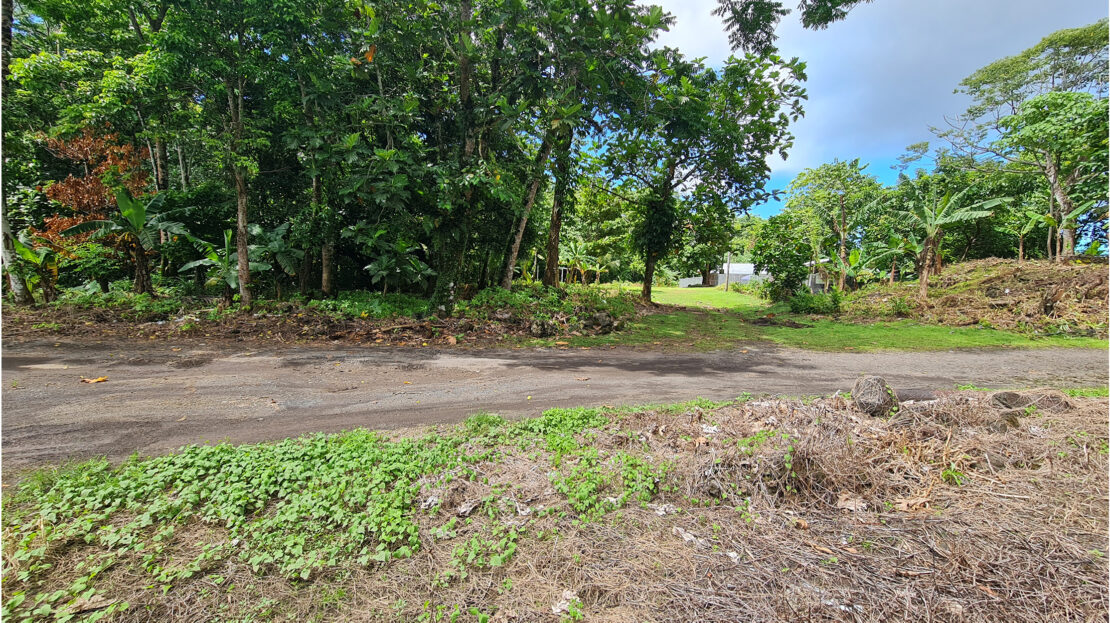 Half Acre Section for Sale in Ottoville Samoa Realty