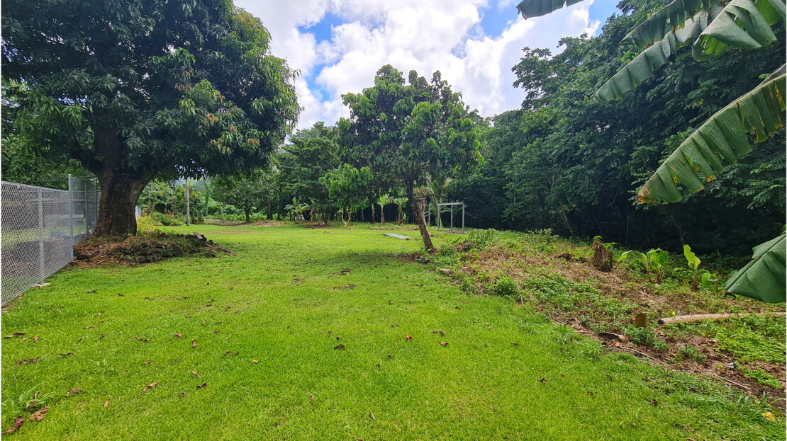 Half Acre Section for Sale in Ottoville Samoa Realty