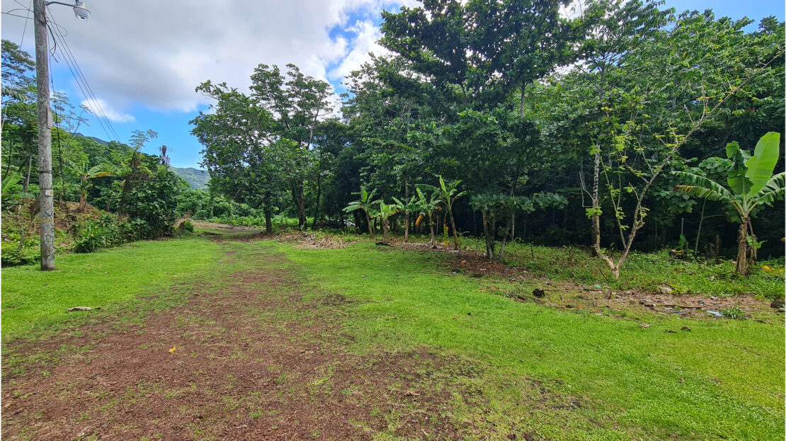 Half Acre Section for Sale in Ottoville Samoa Realty