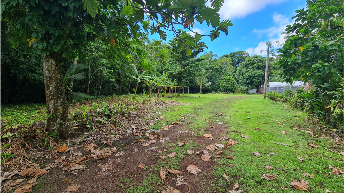 Half Acre Section for Sale in Ottoville Samoa Realty