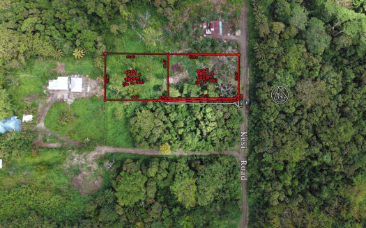 Two Half-Acre Lots for Sale in Aleisa