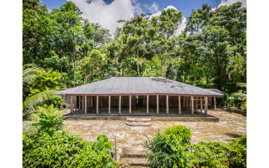 Quarter Acre plus for Sale in Aleisa