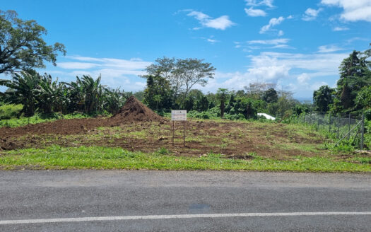 Prime Half-Acre for Lease in Aleisa