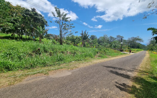 1.5 Acre Lot for Sale in Aleisa