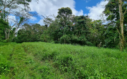 One Acre For Sale in Malololelei