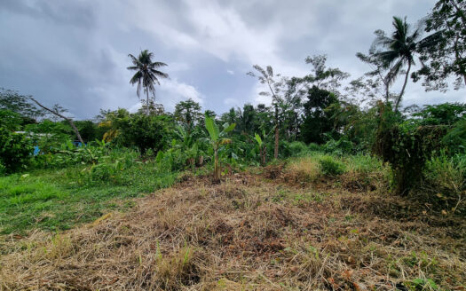 Quarter Acre for Sale in Nuu