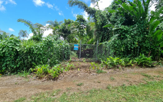 Quarter Acre for Sale in Aleisa