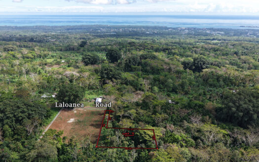 Half-Acre for Sale in Laloanea