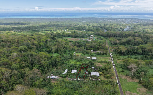 Quarter Acre for Sale in Aleisa
