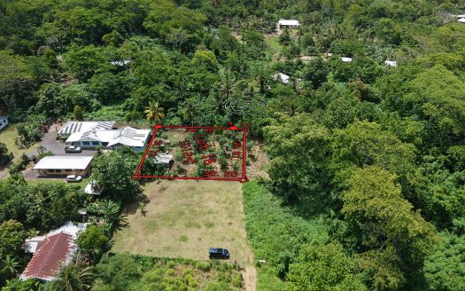 Quarter Acre for Sale in Nuu