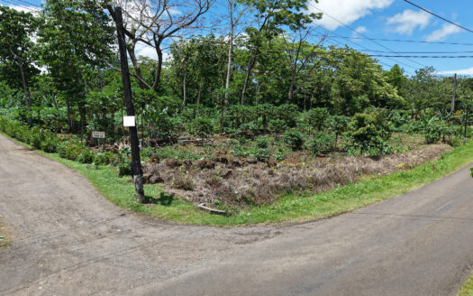 Two Quarter Acres for Sale in Falelauniu