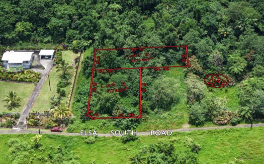 Half Acre for Sale in Tiavi