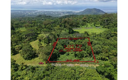 One Acre Lot for Sale in Malololelei