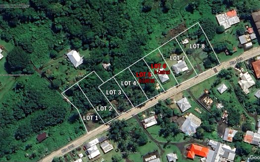 Freehold Lots for Sale in Malaeloa/Leone