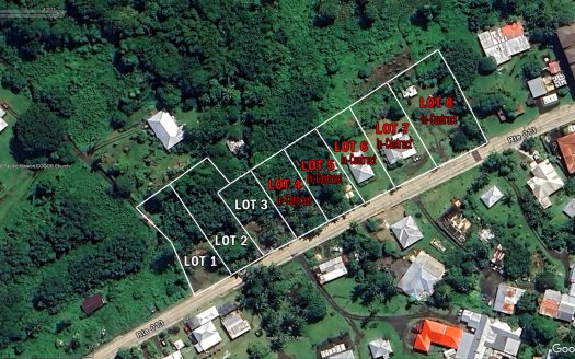 Freehold Lots for Sale in Malaeloa/Leone