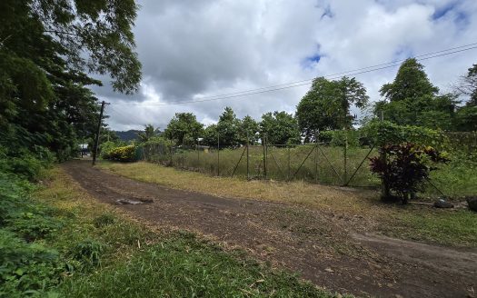 Quarter Acre for Sale in Moamoa
