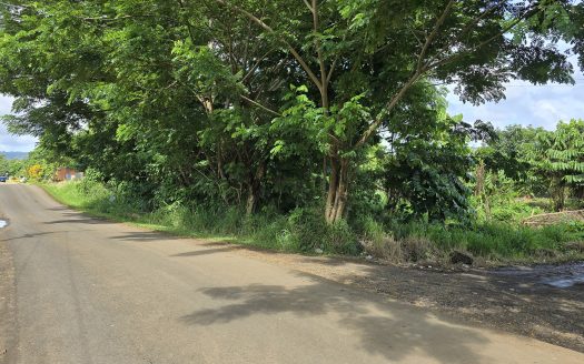 Quarter Acre for Sale in Puipaa