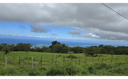 Five Acres for Sale in Tiavi