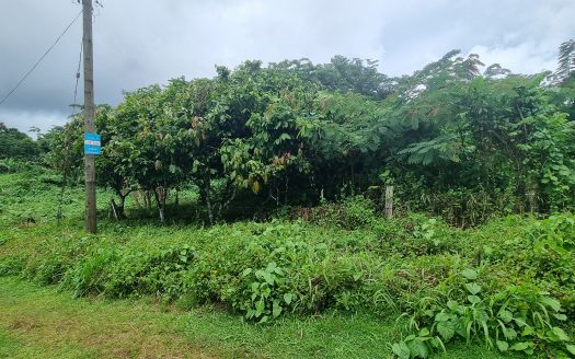 Vacant Quarter Acre for Sale in Aleisa