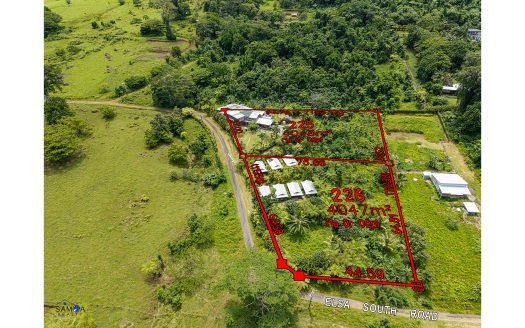 Commercial Investment for Sale in Tiavi